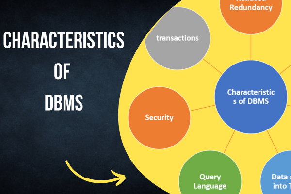 Characteristics of DBMS