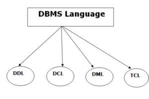 Database Languages