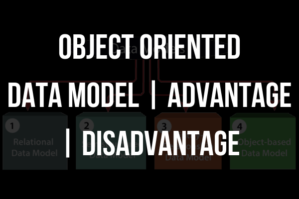 Object Oriented Data Model