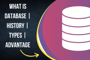 What is Database