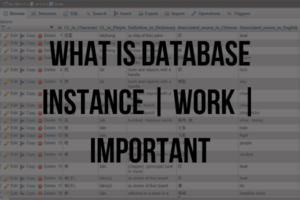 What is Database Instance