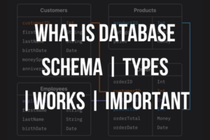 What is Database Schema