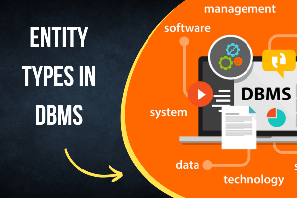 Entity Types in DBMS