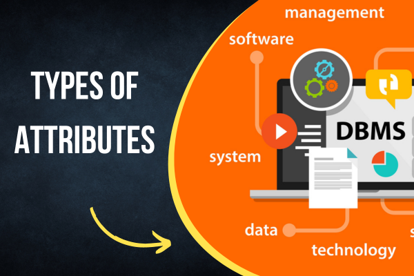 Types of Attributes